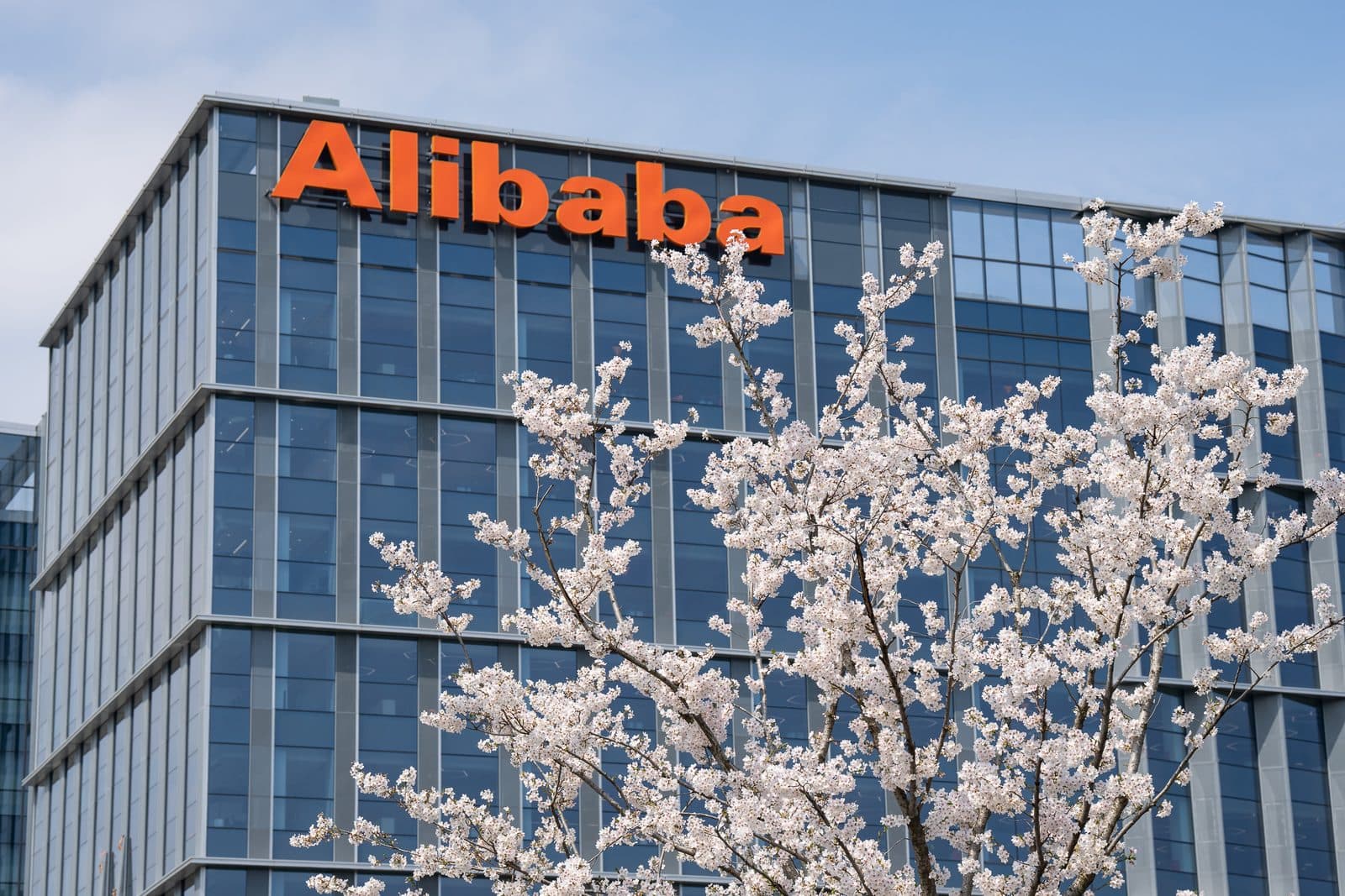 Un immeuble Alibaba derrière des branches de cerisiers en fleurs, avec l’enseigne de l’entreprise sur les étages supérieurs