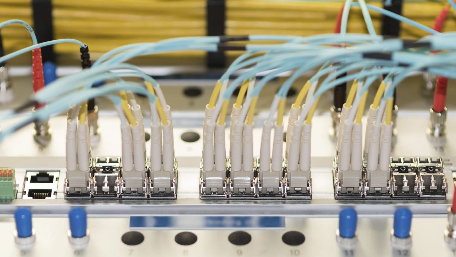 A row of optical transceiver modules with fibre patch cables plugged into a network switch