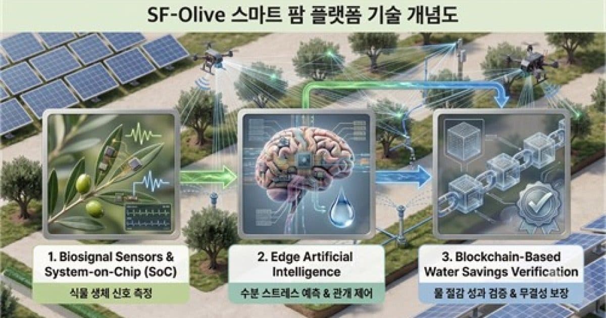SF-Olive 플랫폼의 한국어 도식으로, 바이오신호 센서, 엣지 인공지능, 블록체인 기반 물 절감 검증의 3단계를 보여줌