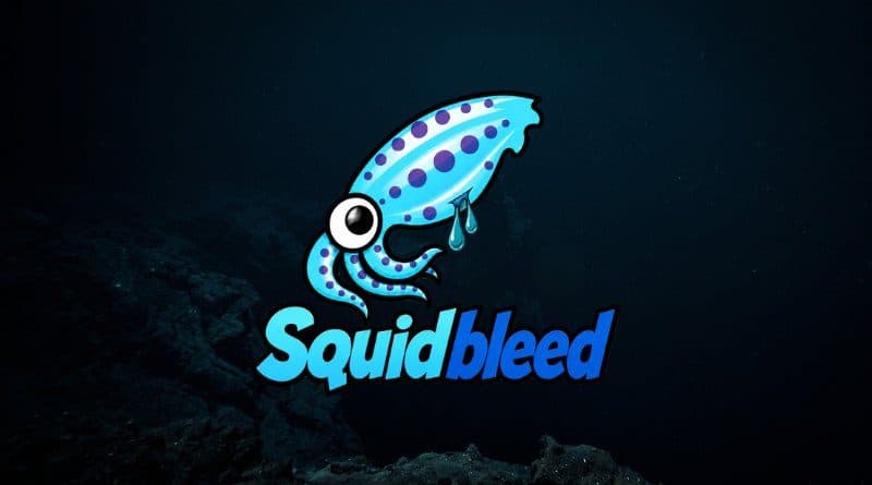 Squidbleed: A 29-Year-Old Proxy Bug Falls to AI-Assisted Auditing
